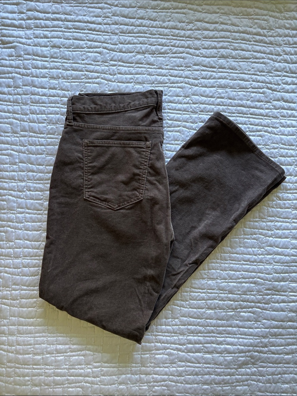 GAP Women's Baby Boot Cut Corduroy Jeans in Mushroom Brown